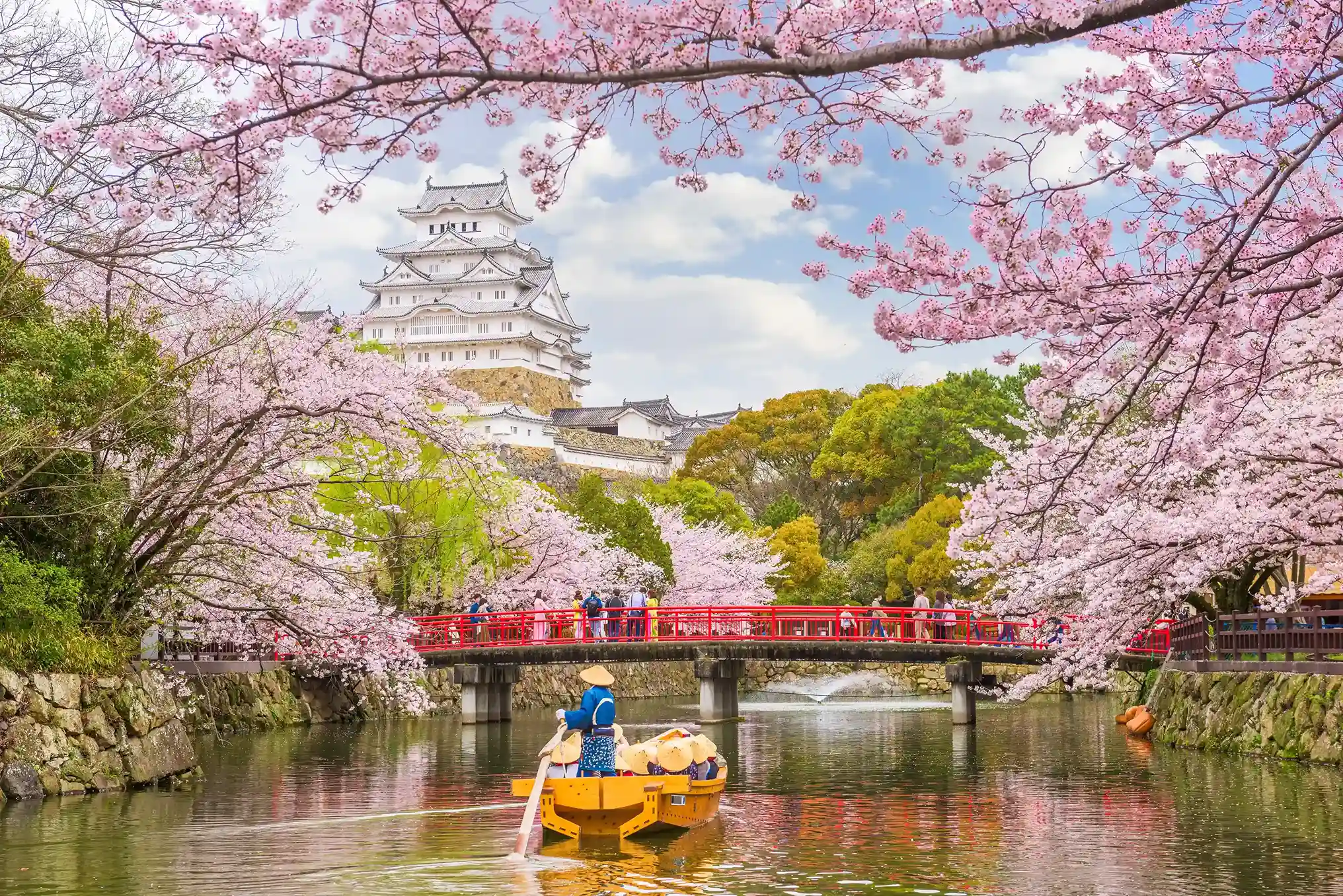 Japan highlight image